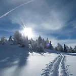 Lejlighed Cosy Near Slope *