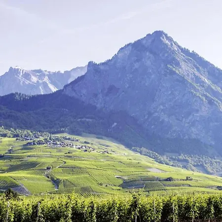Cosy Near Slope Διαμέρισμα Nendaz