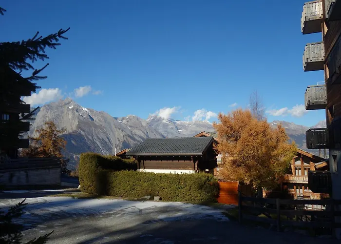 Cosy Near Slope アパート