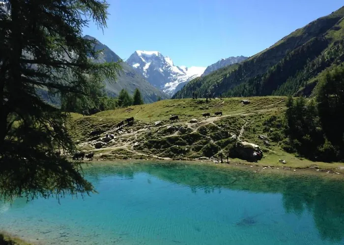 Cosy Near Slope アパート