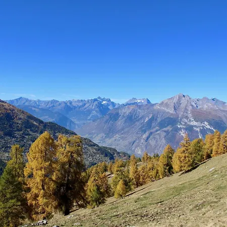 Apartment Cosy Near Slope *