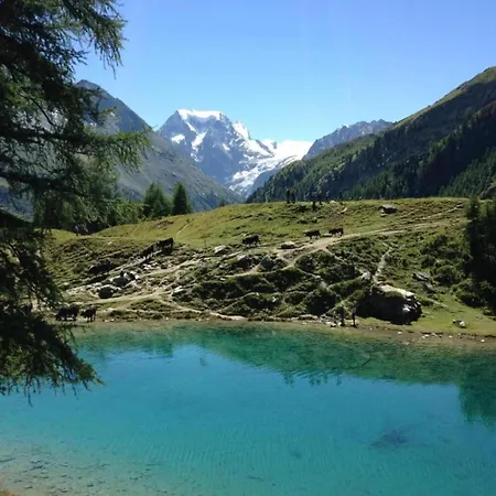 Cosy Near Slope Apartment