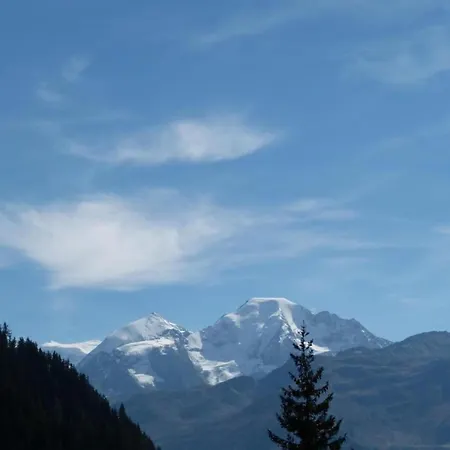 Appartement Cosy Near Slope